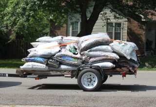 mulch