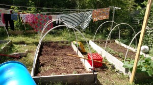 gardening blog, modern homemakers